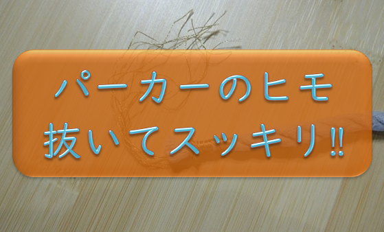 f:id:tokaman0105:20181112150942p:plain