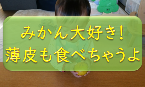 赤ちゃんにみかんの薄皮っていつから食べさせられる みかんが便秘解消にいいって本当 みかん大好きなだいちゃんで検証 オコジョ的じゅりいズム