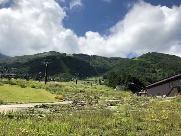 f:id:tokaman0105:20191011055641j:plain f:id:tokaman0105:20191011055641j:plain