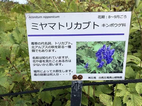 f:id:tokaman0105:20191011060255j:plain f:id:tokaman0105:20191011060255j:plain