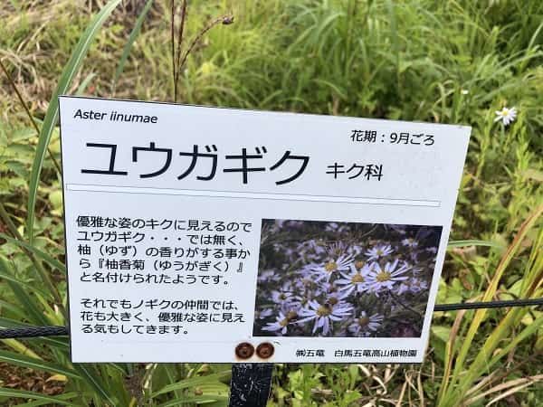f:id:tokaman0105:20191011060516j:plain f:id:tokaman0105:20191011060516j:plain