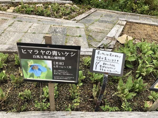f:id:tokaman0105:20191011060537j:plain f:id:tokaman0105:20191011060537j:plain
